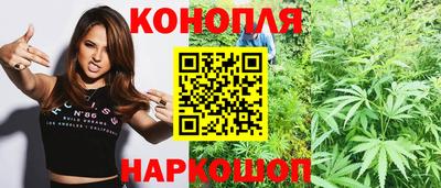 гашик Канаш