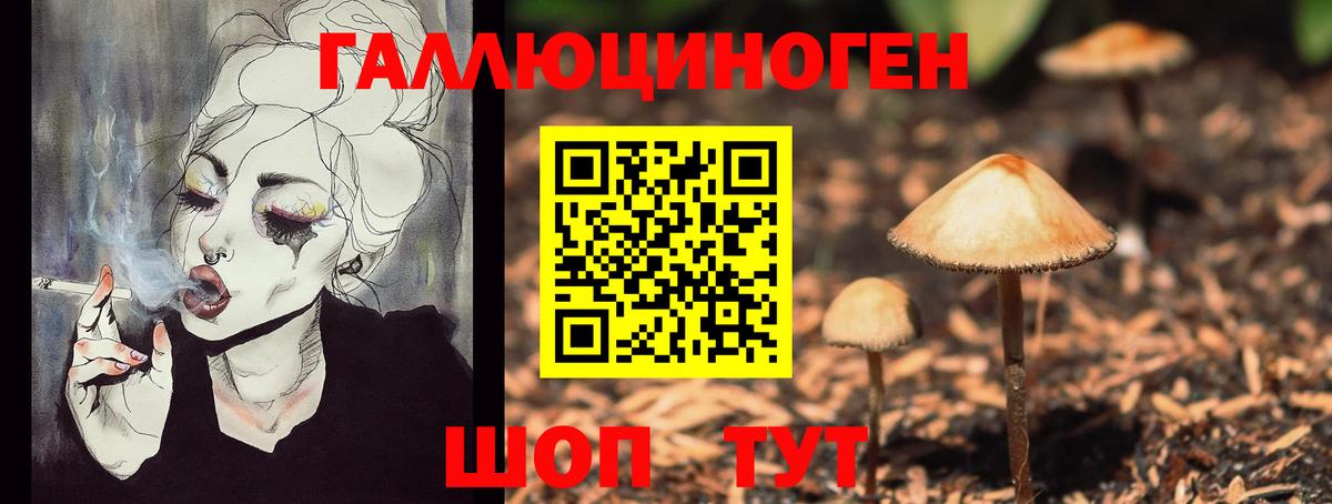 Назрань  Псилоцибиновые грибы мицелий  Вход с VPN 